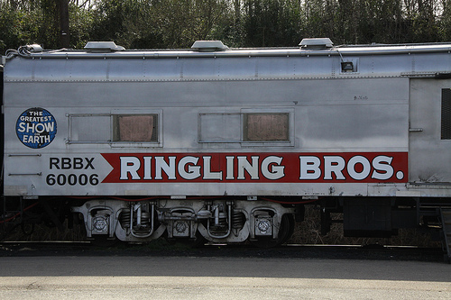 barnum train circus