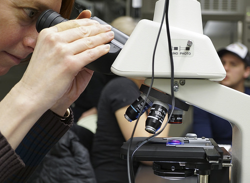 microscope