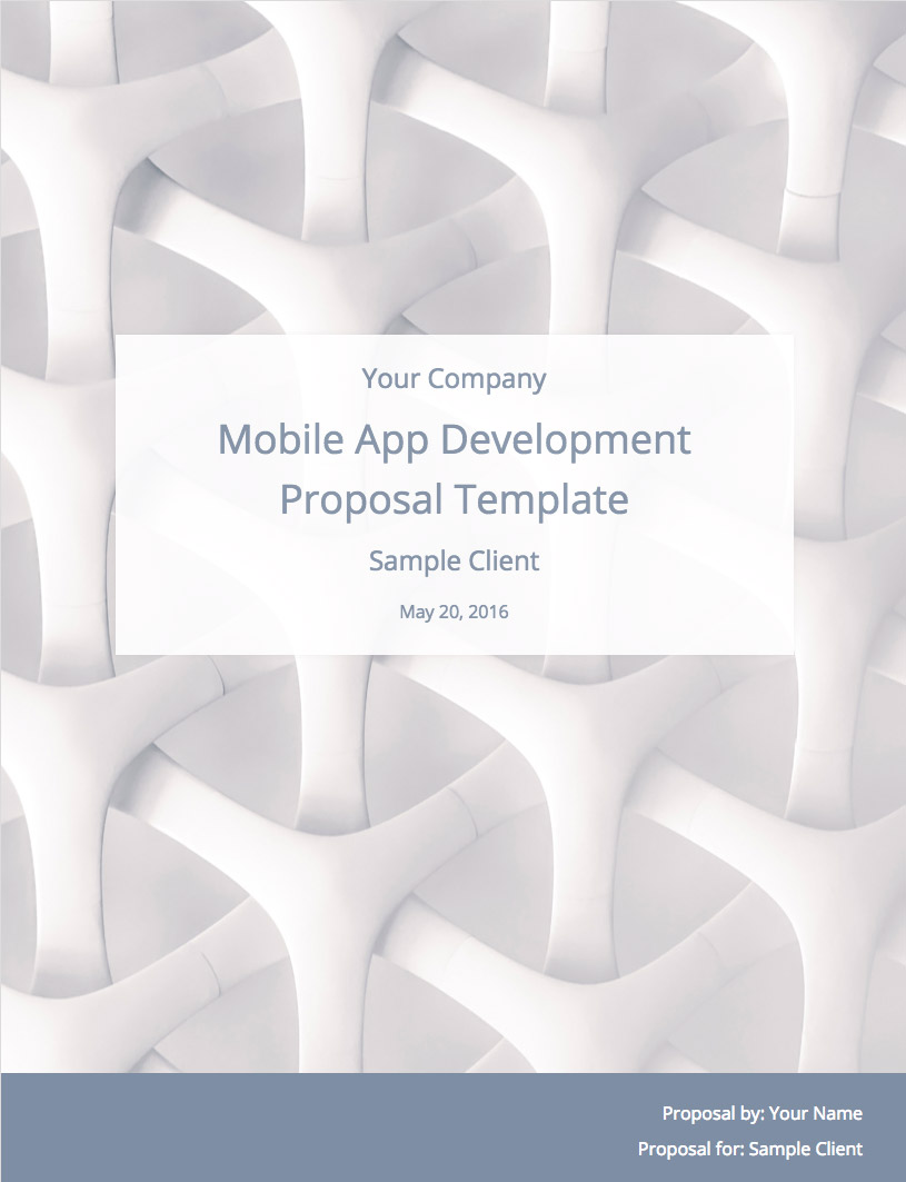 development proposal sample