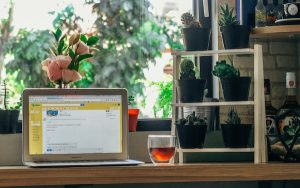 find email address